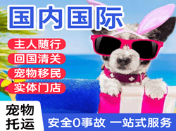 九寨黄龙航空运输国际宠物托运 【国